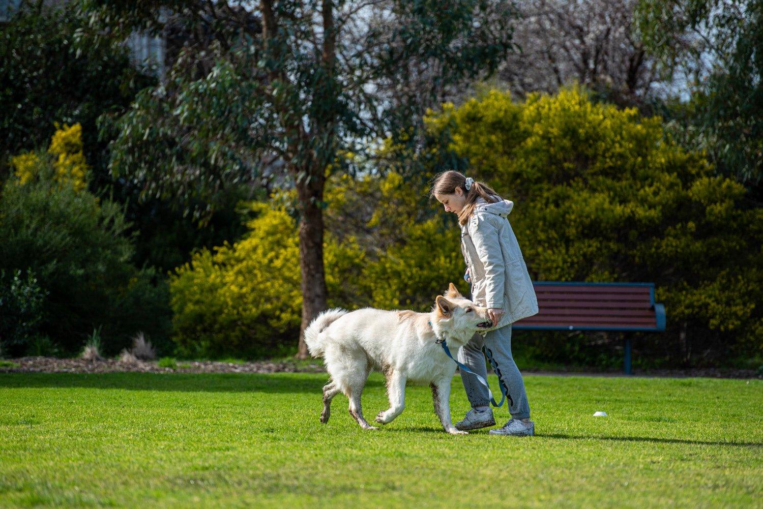 3 Tips for Improving your dogs recall - PK9 Gear