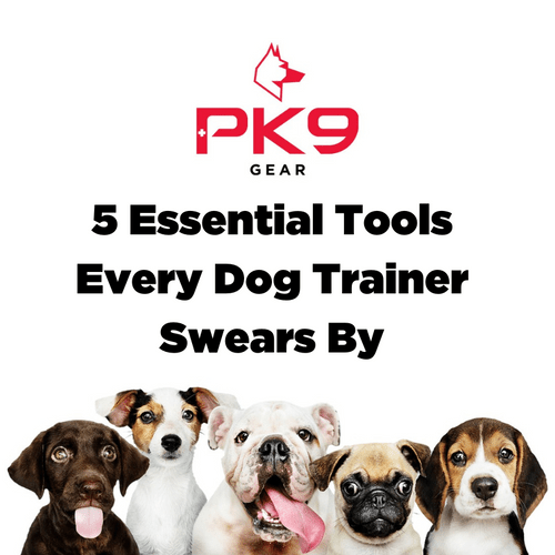 5 Essential Tools Every Dog Trainer Swears By - PK9 Gear