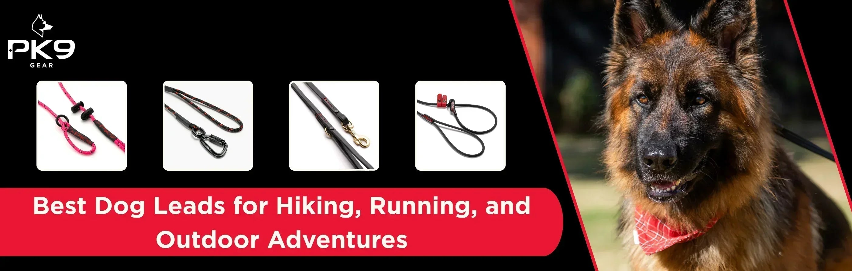 Best Dog Leads for Hiking, Running, and Outdoor Adventures