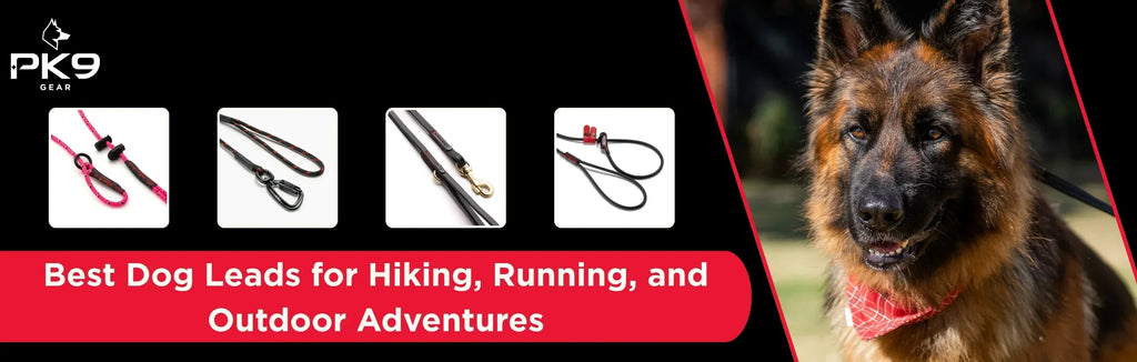 Best Dog Leads for Hiking, Running, and Outdoor Adventures