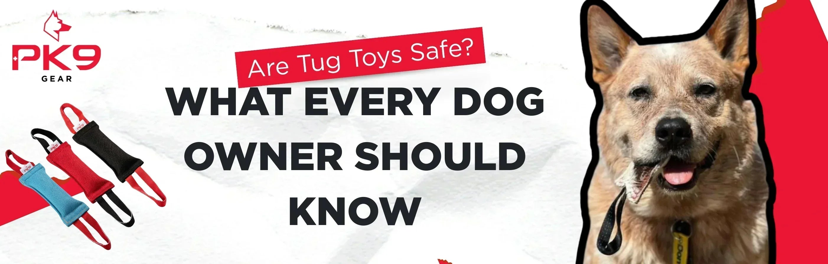 Are Tug Toys Safe? What Every Dog Owner Should Know