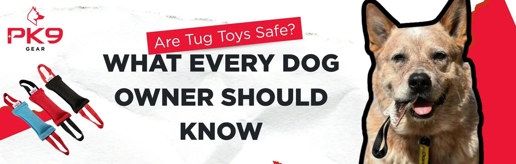 Are Tug Toys Safe? What Every Dog Owner Should Know