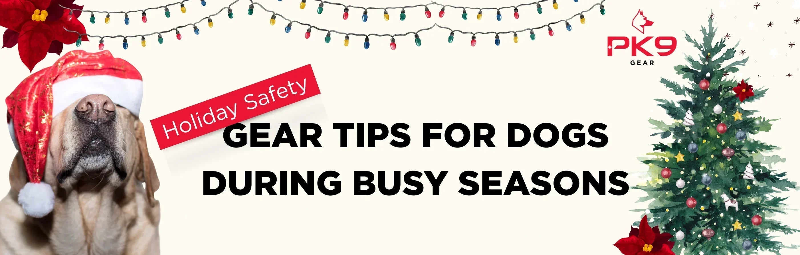 Holiday Safety: Gear Tips for Dogs During Busy Seasons