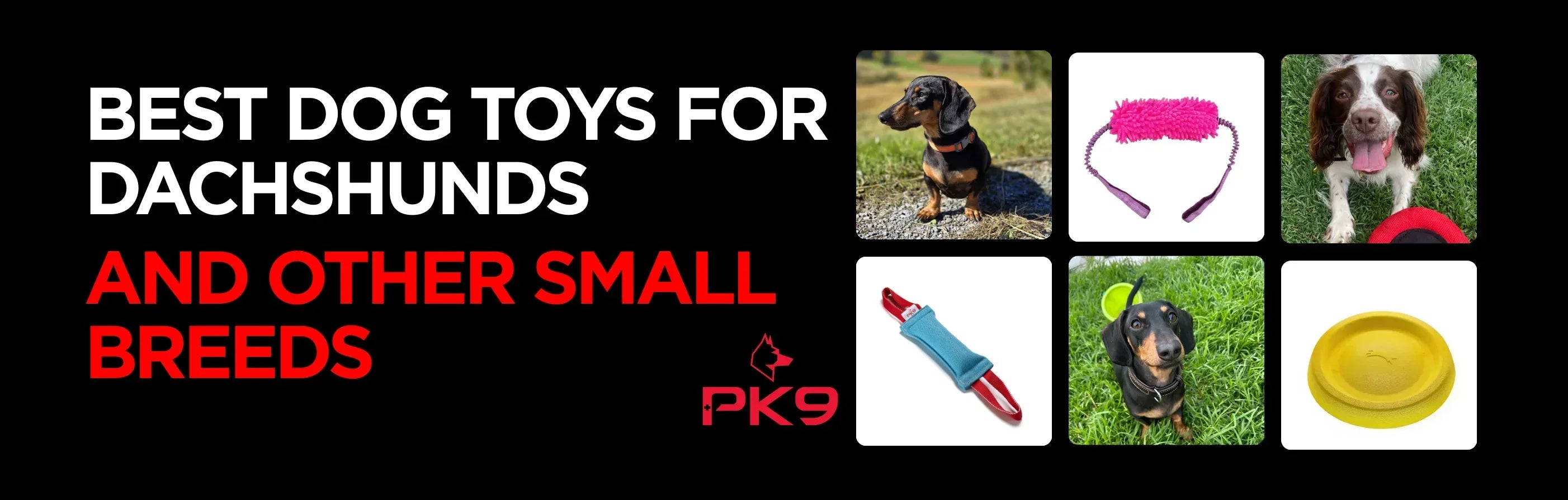 Best Dog Toys for Dachshunds and Other Small Breeds