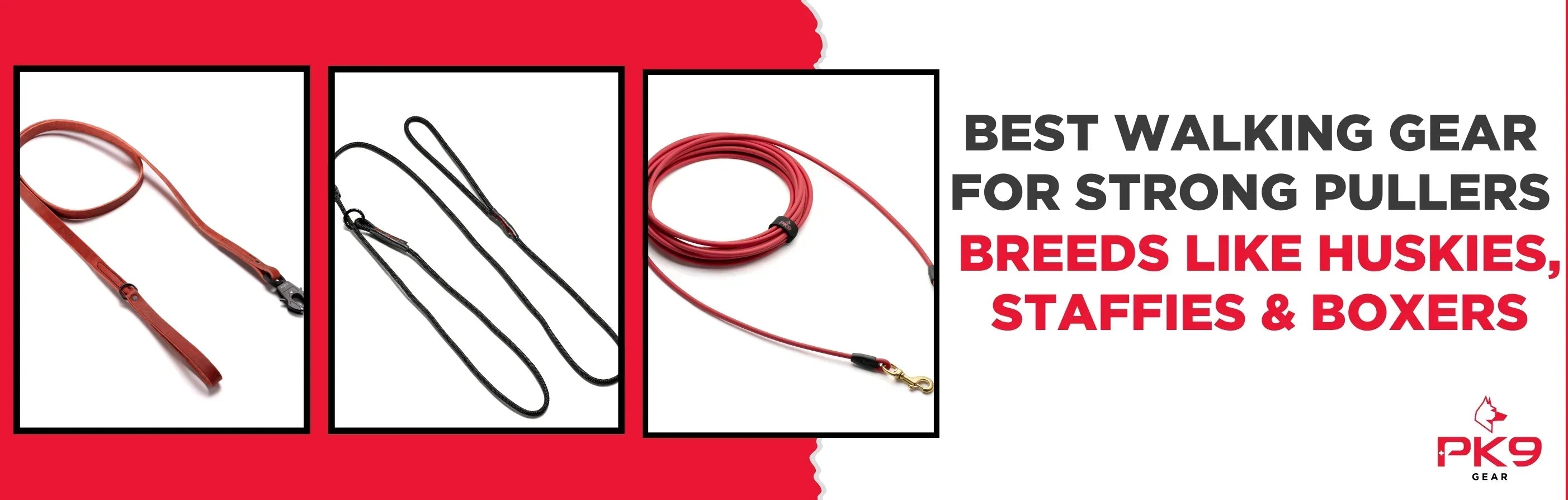 Best Walking Gear for Strong Pullers: Huskies, Staffies & Boxers