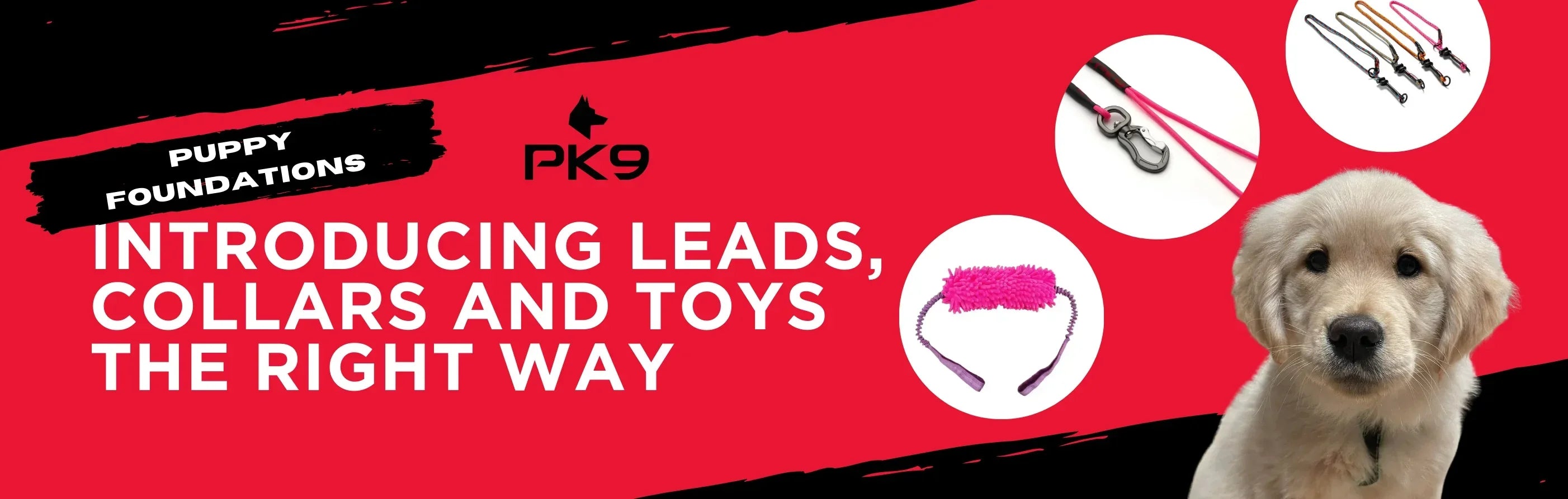 Puppy Foundations: Introducing Leads, Collars and Toys the Right Way