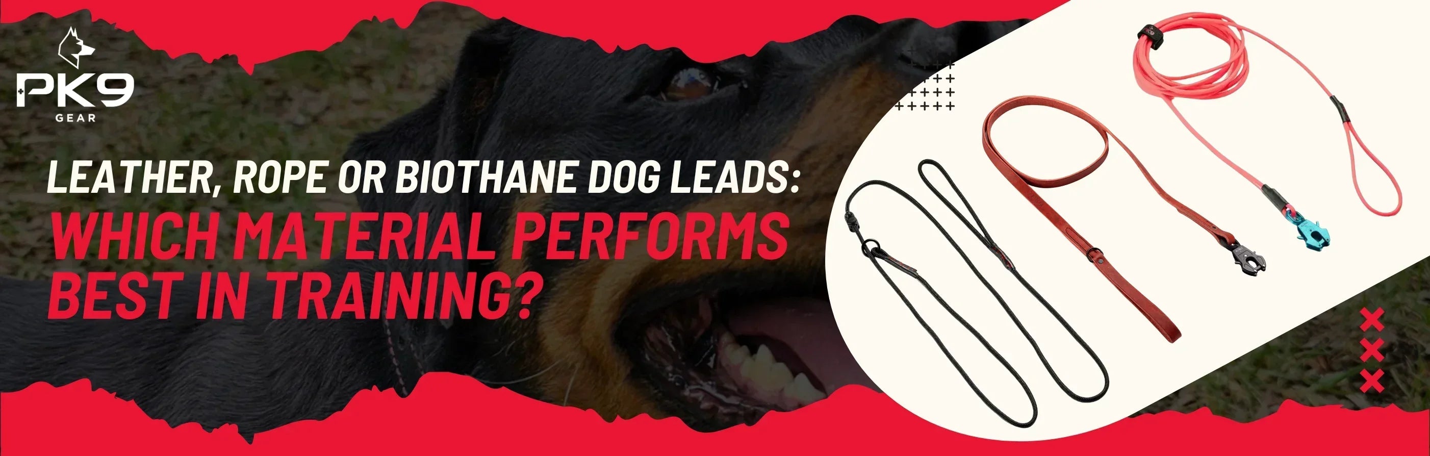 Leather, Rope or Biothane Dog Leads: Which Material Performs Best in Training?