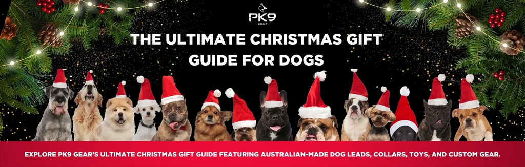 The Ultimate Christmas Gift Guide for Dogs