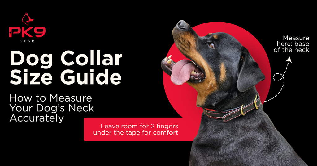 Dog Collar Size - Get The Perfect Fit Dog Collar