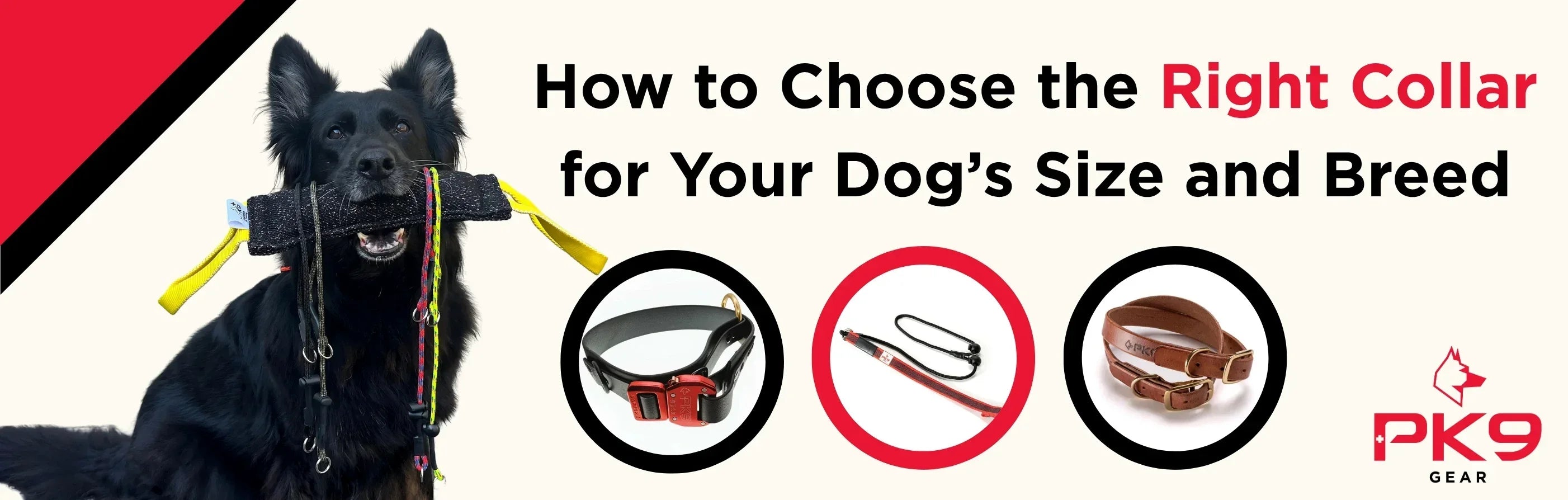 How to Choose the Right Collar for Your Dog’s Size and Breed