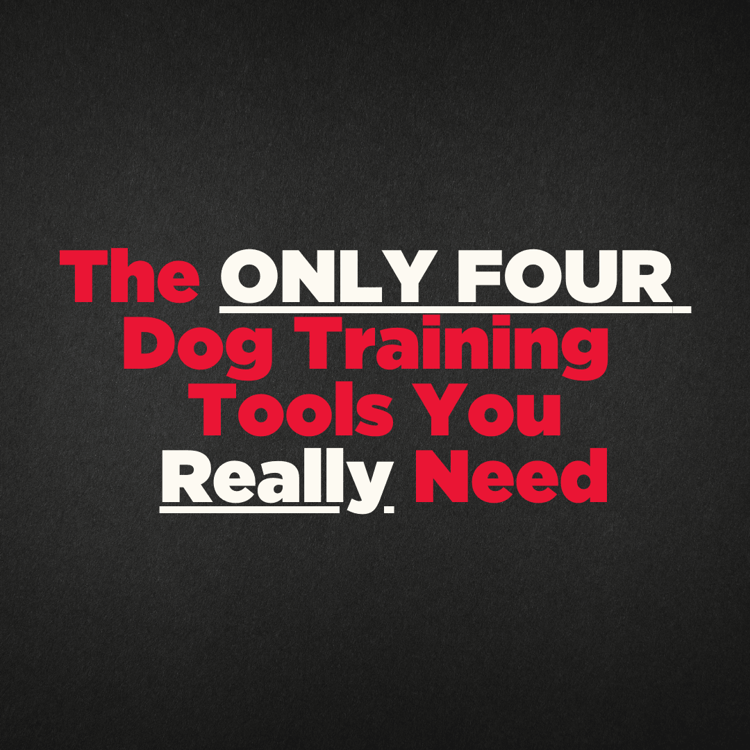 The Only Four Dog Training Tools You Really Need