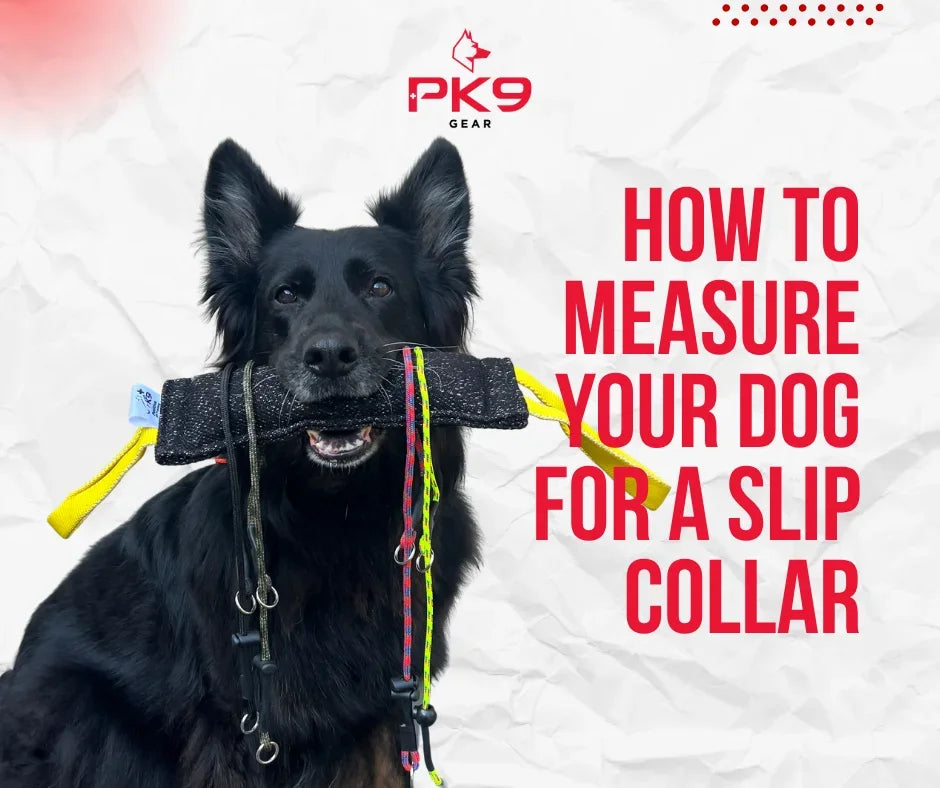 How to Measure Your Dog for a Slip Collar