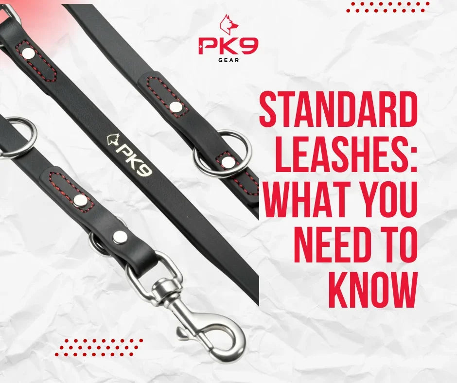 Standard Leashes: What You Need to Know