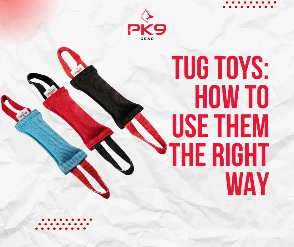 Tug Toys: How to Use Them the Right Way