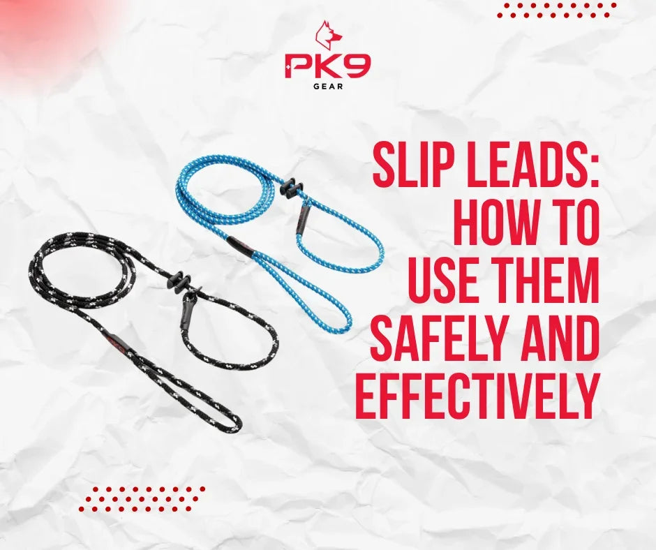 Slip Leads: How to Use Them Safely and Effectively