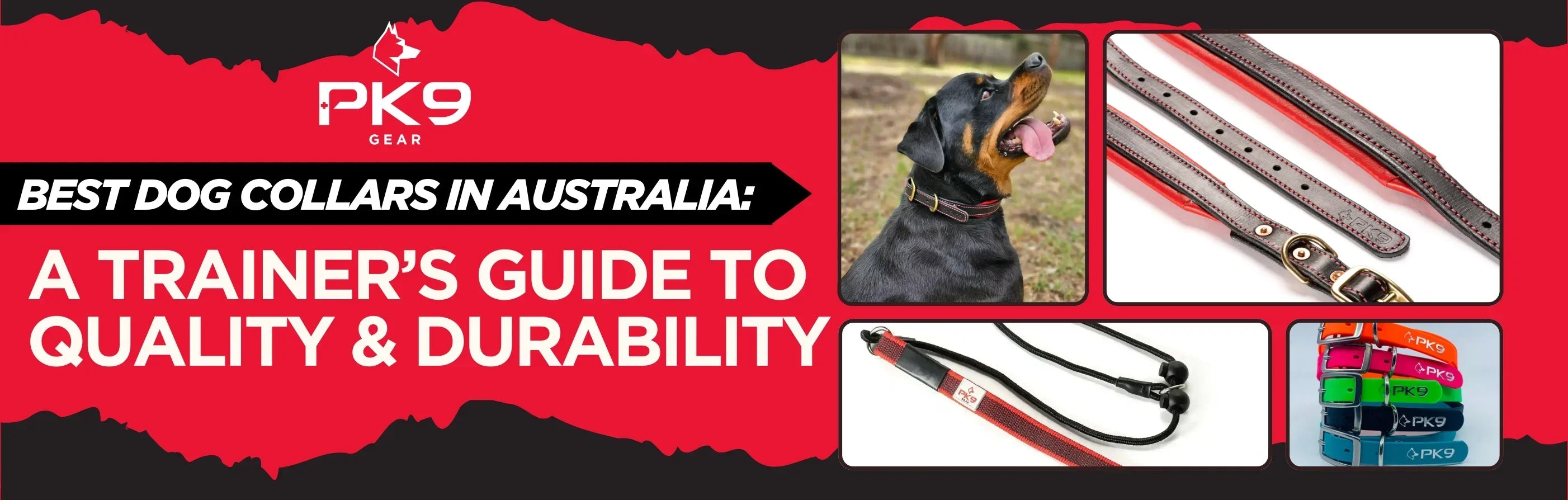 Best Dog Collars in Australia: A Trainer’s Guide to Quality & Durability