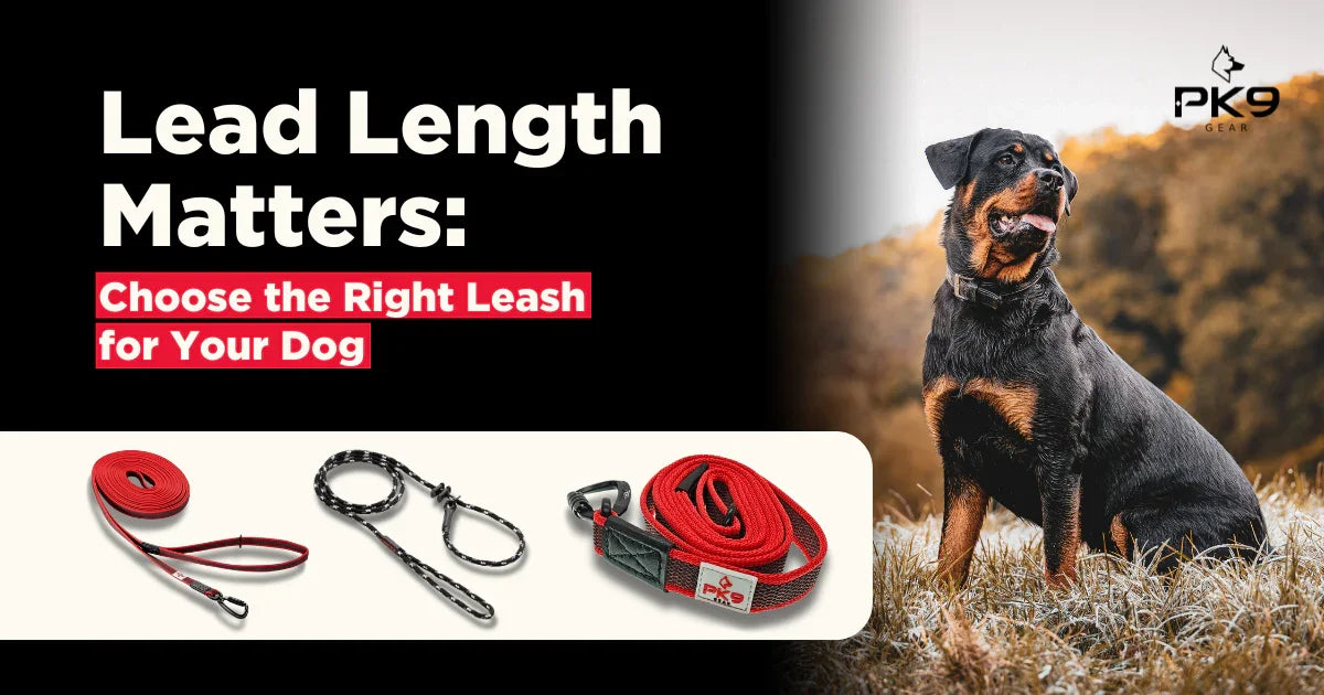 Understanding Lead Lengths: Matching Your Dog’s Needs to the Right Lead