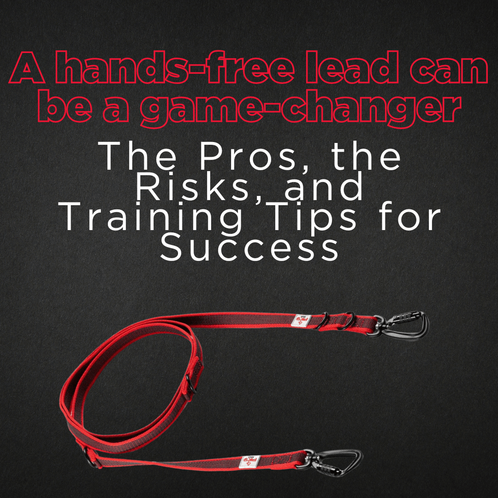 Hands-Free Dog Leads: The Pros, the Risks, and Training Tips for Success - PK9 Gear