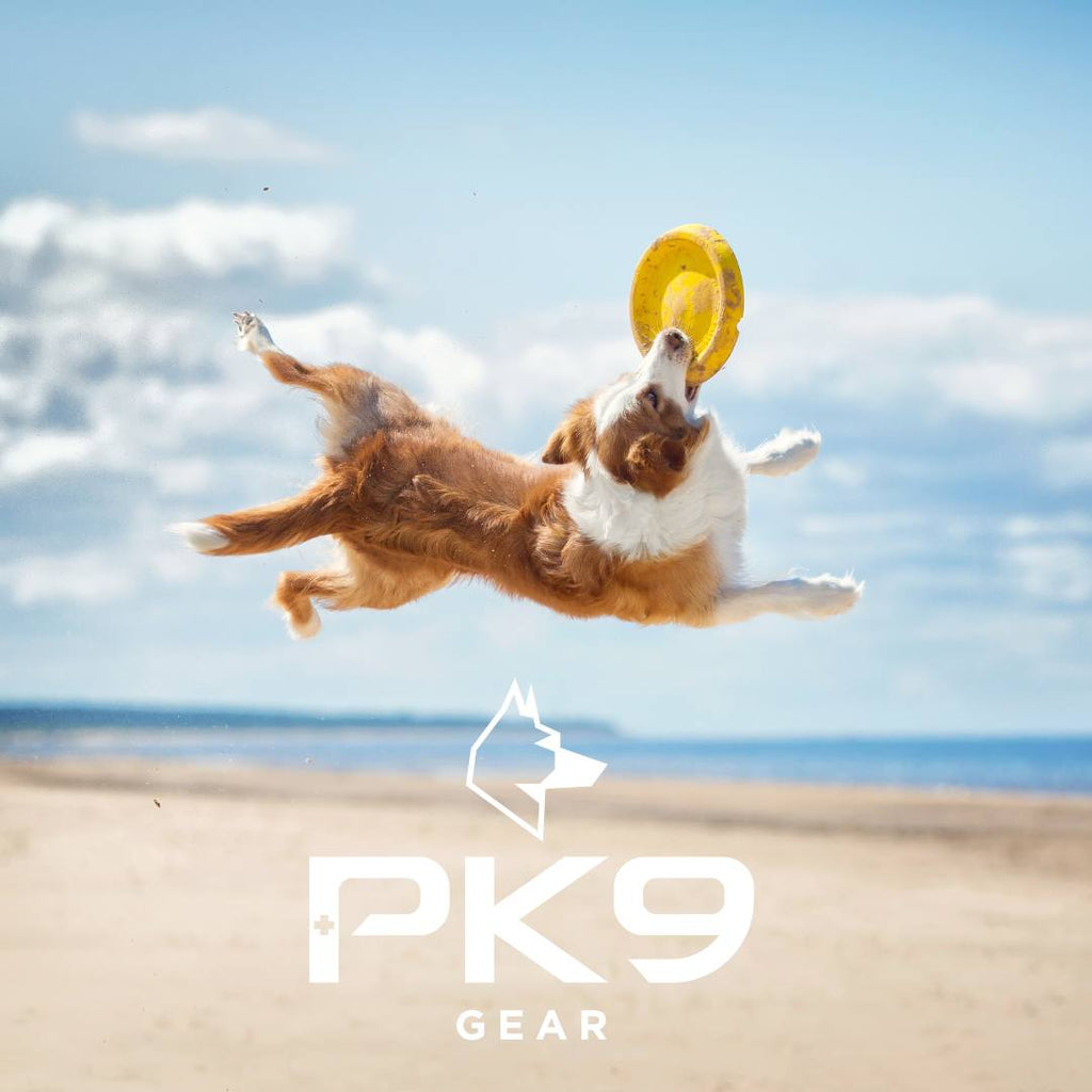 The Benefits of Play With Your Dog: How to Maximize Fun and Bonding - PK9 Gear