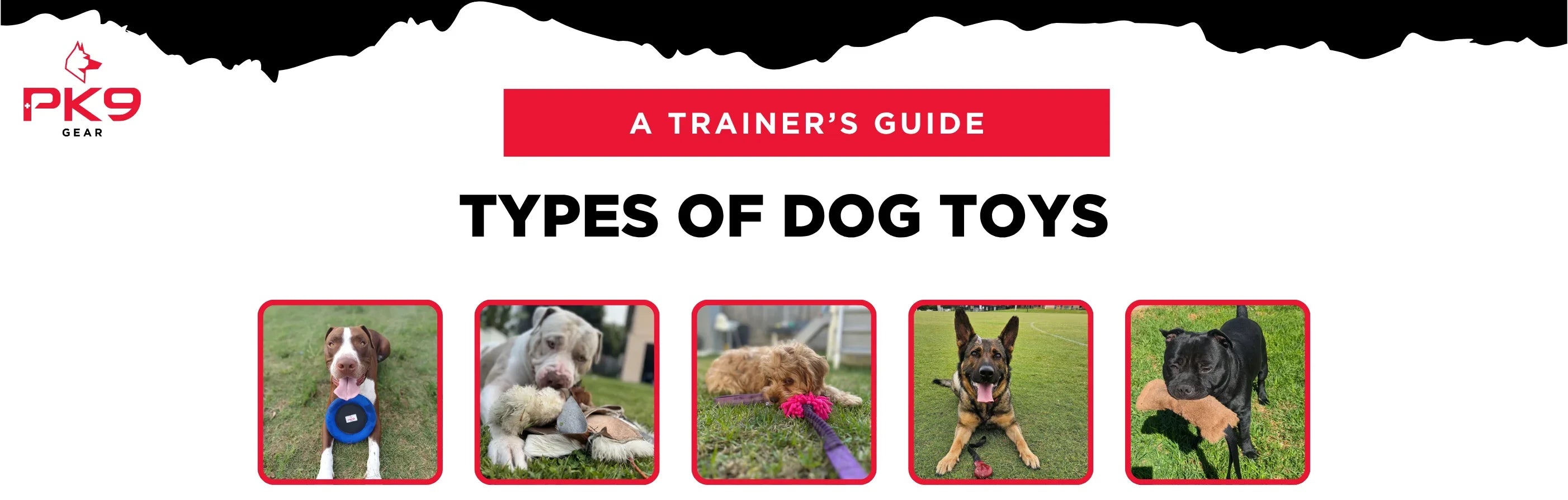 Types of Dog Toys: A Trainer’s Guide