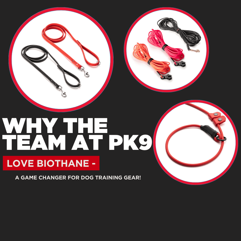 Why the Team at PK9 Loves Biothane: A Game-Changer for Dog Training Gear - PK9 Gear