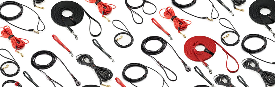 an image of all the biothane dog leads pk9 gear offers dog owners