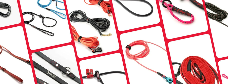 all of the dog leashes we offer