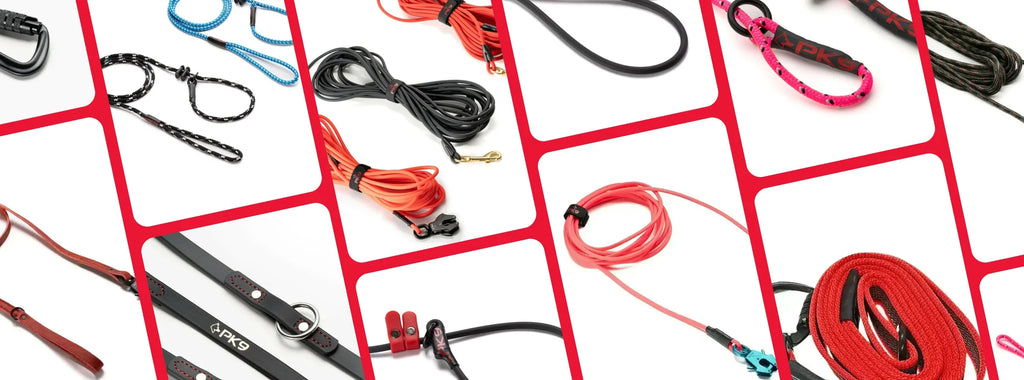 all of the dog leashes we offer