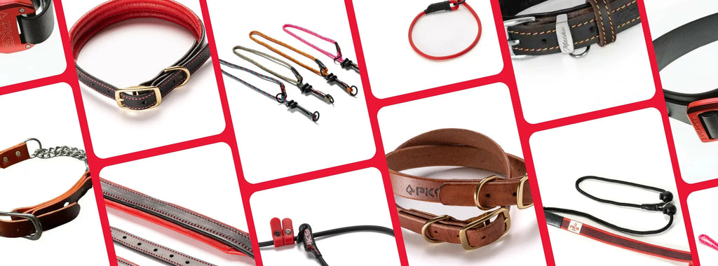 collection image of dog collars, which includes slip collars, leather and tactical dog collars