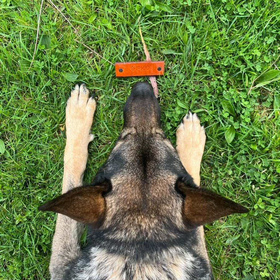 Dog Tracking Leads And Articles - PK9 Gear