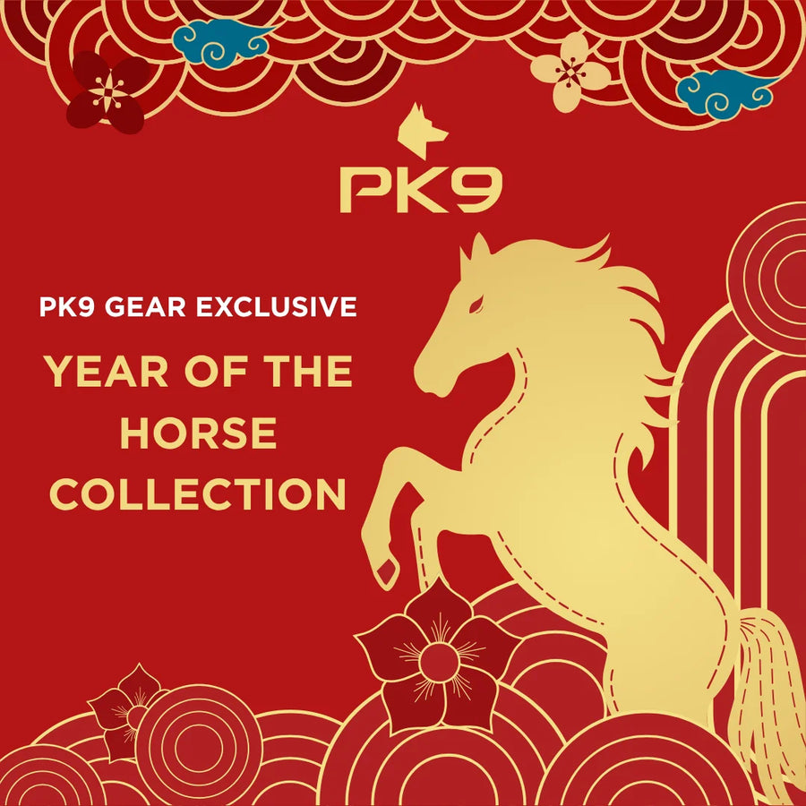 Year of the Horse