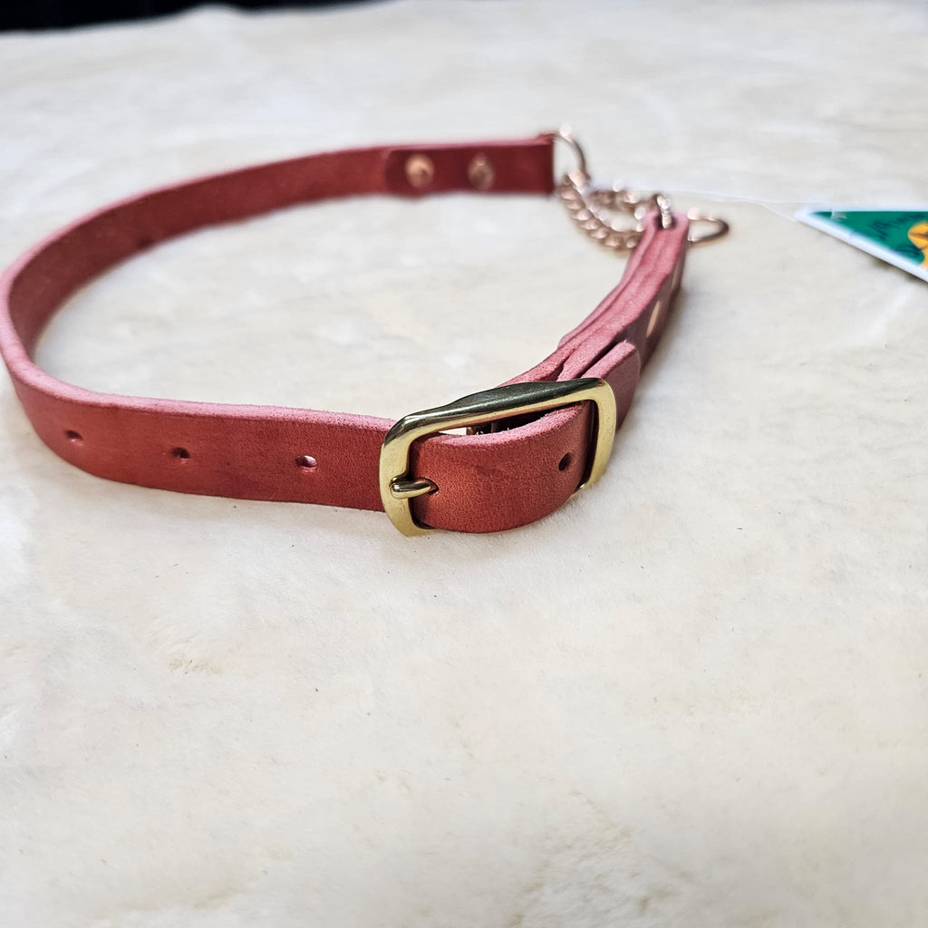 3/4 Inch Redhide Leather Martingale Collar - PK9 Gear