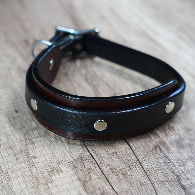 <h4>The Diplomat Collar Highlights</h4>