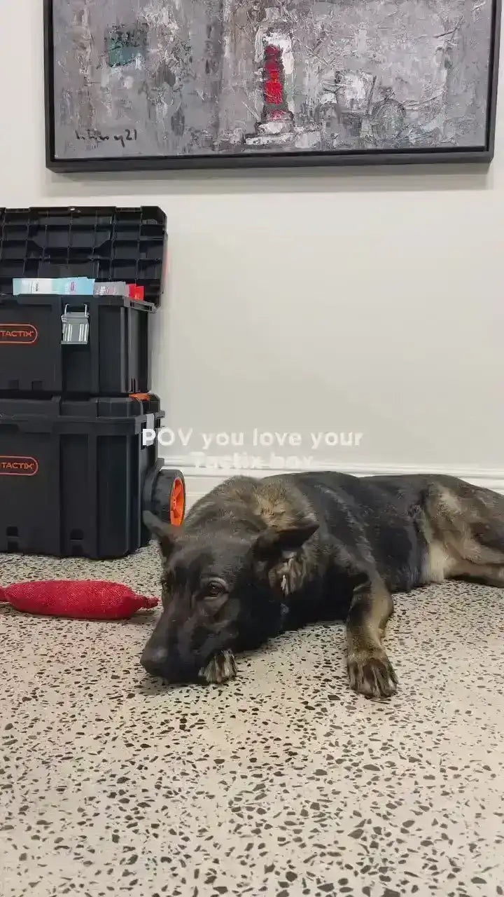 #tolstoy-video-preview-https%3A%2F%2Fcdn.shopify.com%2Fvideos%2Fc%2Fvp%2F551b2b700ed34fedaf5acacad3edb72c%2F551b2b700ed34fedaf5acacad3edb72c.HD-720p-1.6Mbps-29069088.mp4