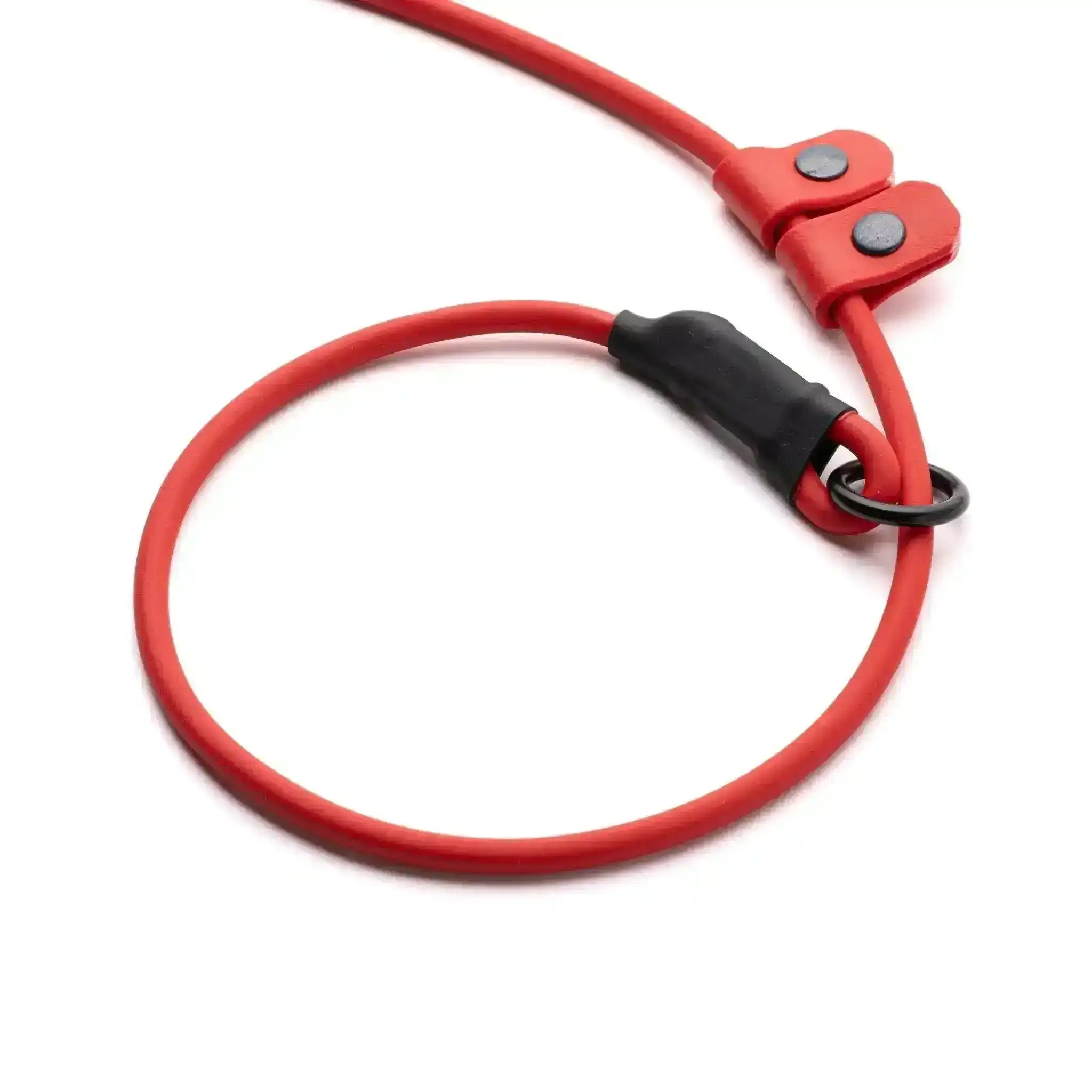 Red biothane slip lead
