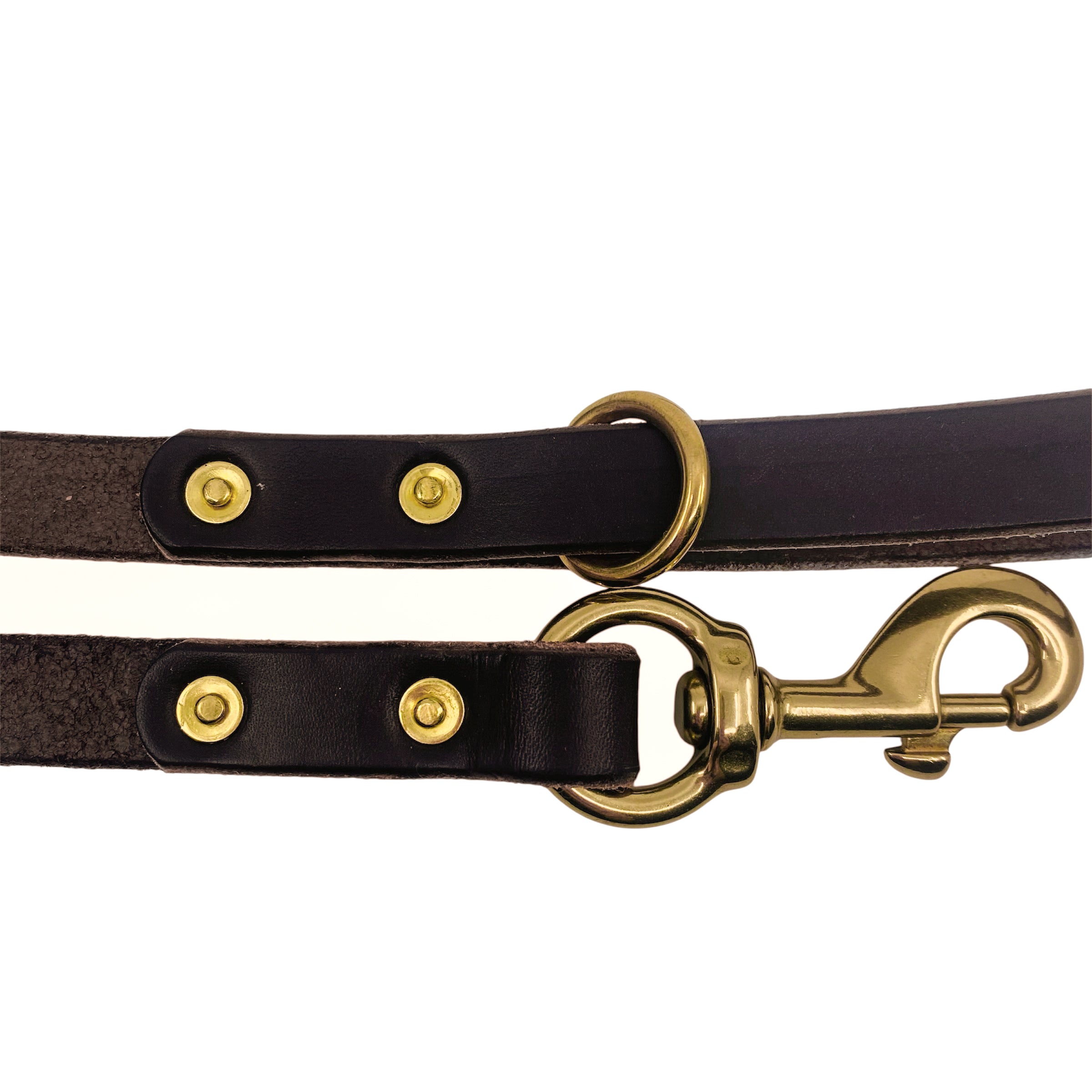 Brown leather dog leash with brass hardware on a white background