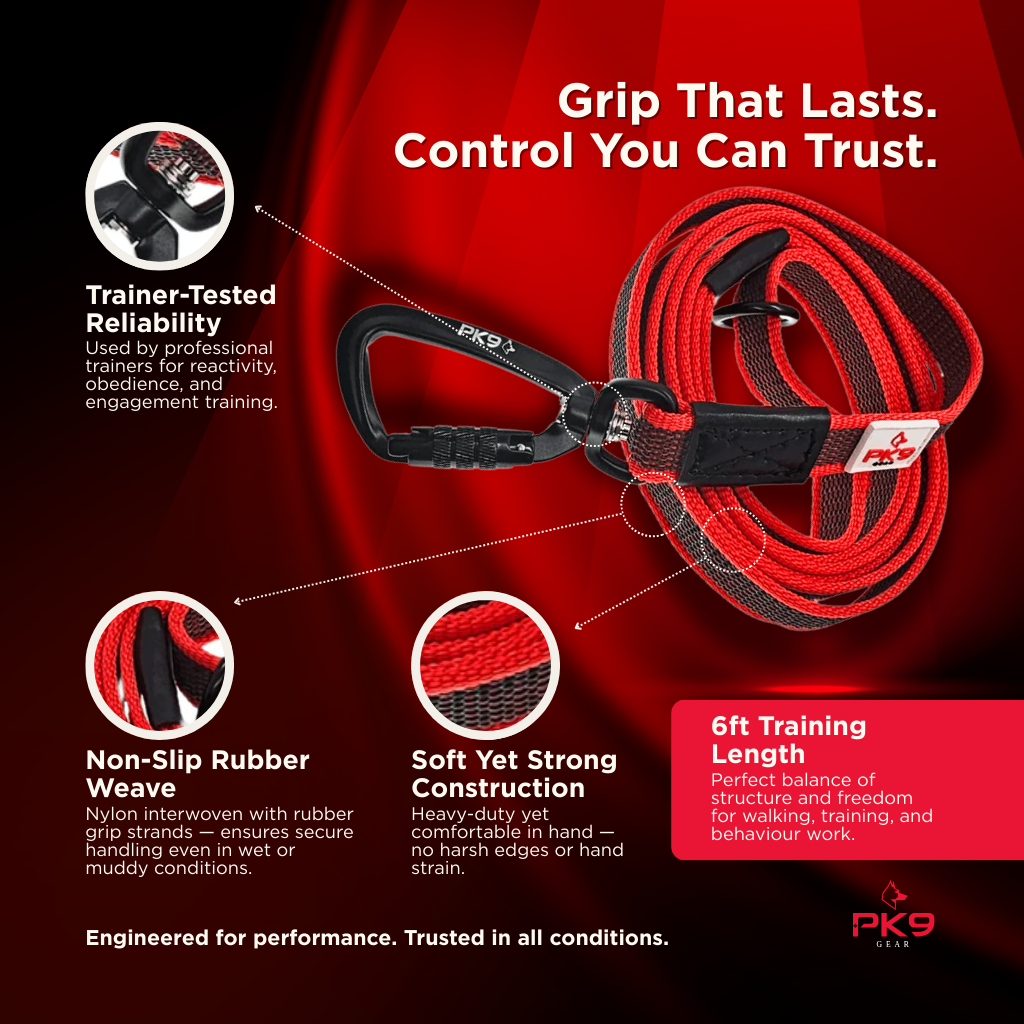 Dog lead features