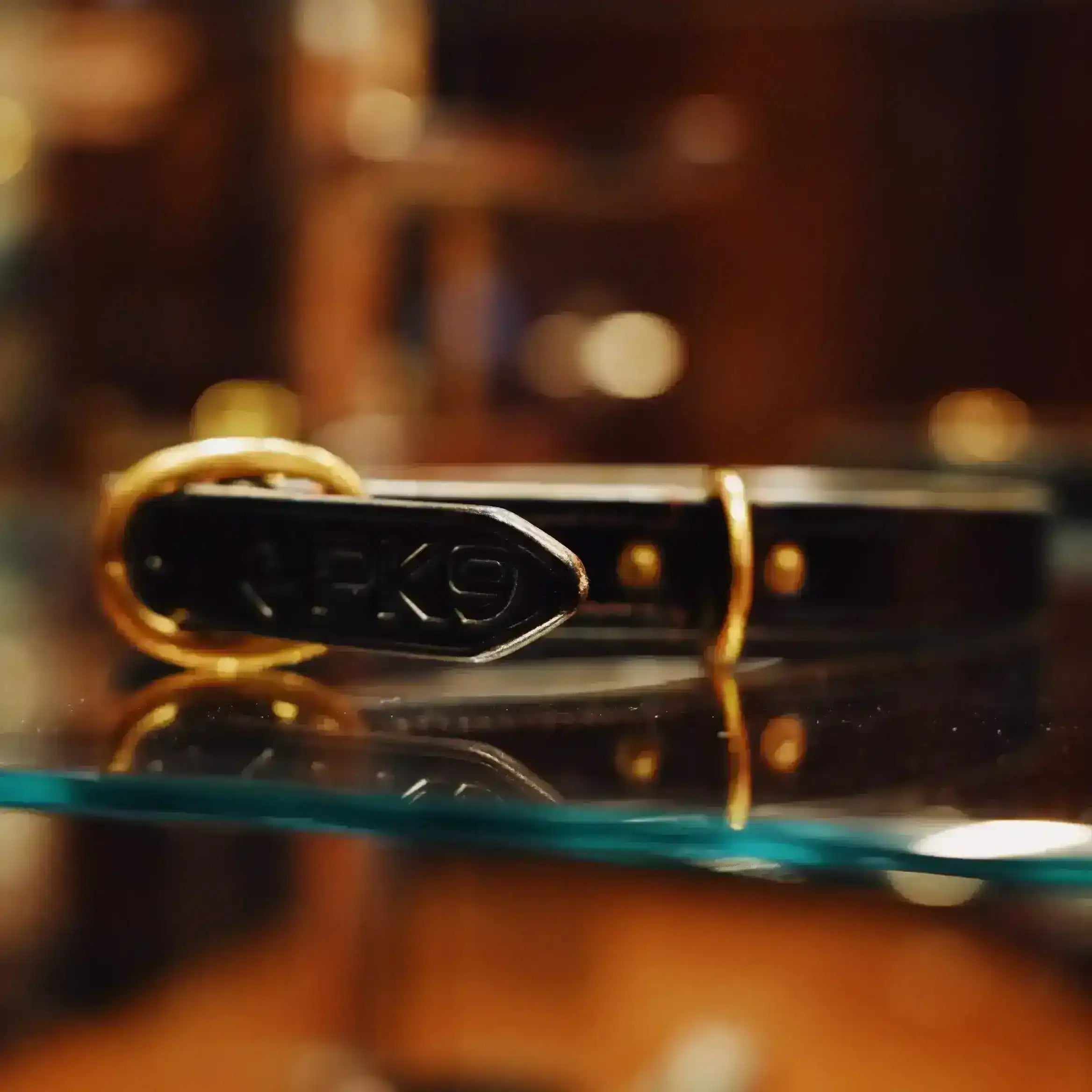 Close-up of a leather dog collar with a gold buckle on a reflective surface.