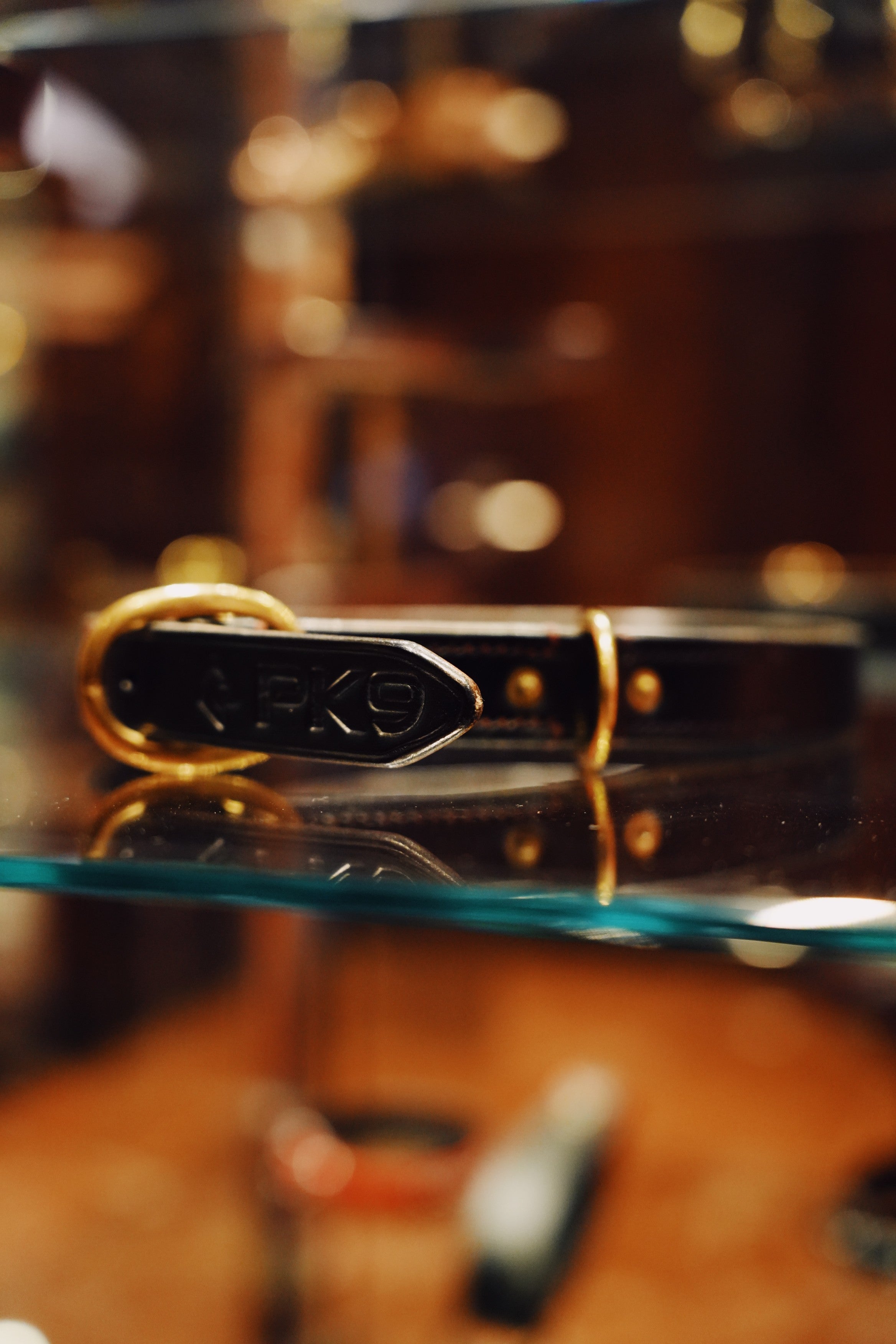 Close-up of a leather dog collar with a gold buckle on a reflective surface.