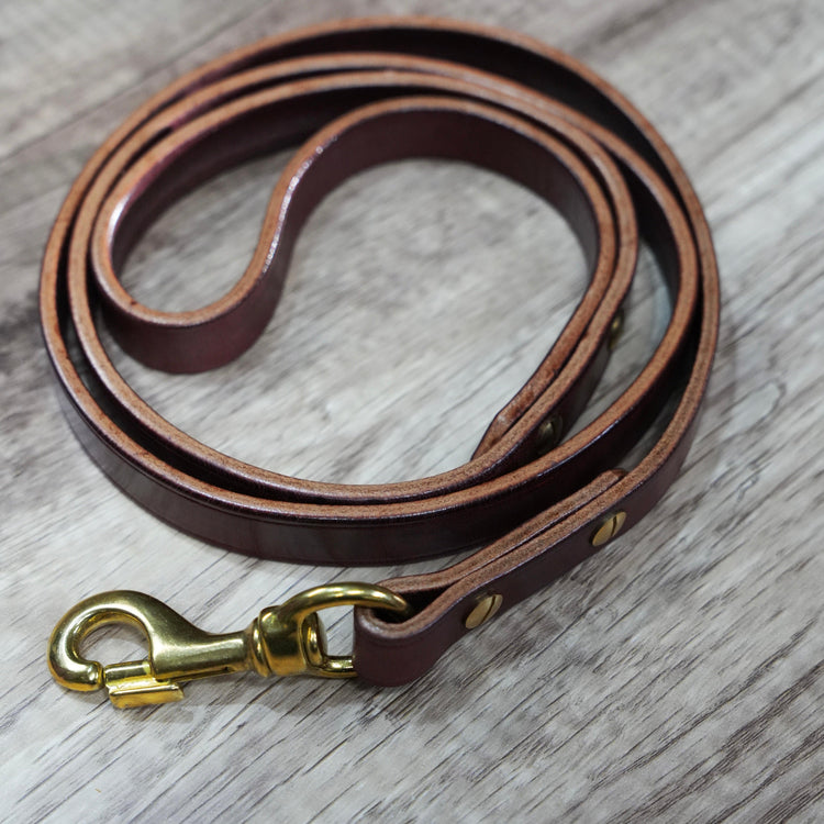 <h4>The Diplomat Lead Highlights</h4>