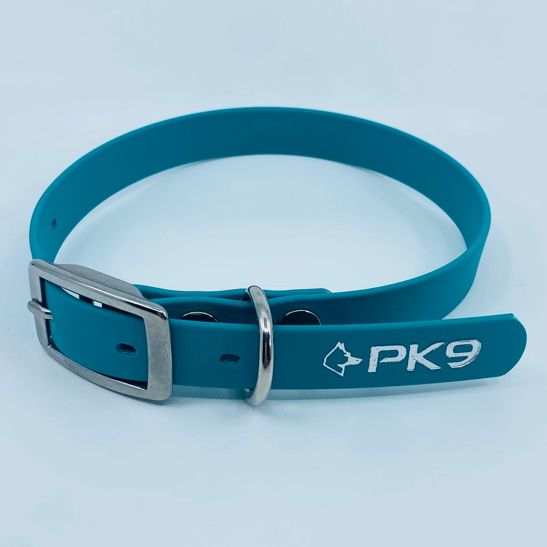 teal dog collar with silver buckle on a light blue background