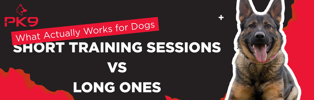 Short Training Session Short Training Sessions vs Long Ones: What Actually Works for Dogs