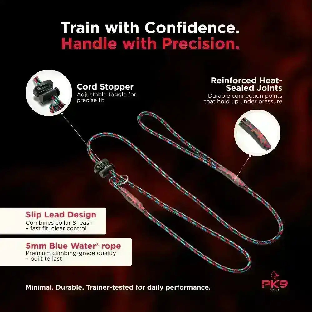 Dog slip leash with features highlighted on a dark background