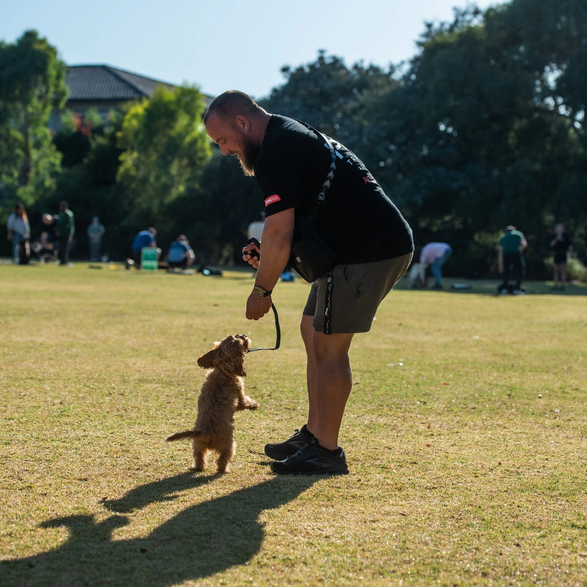 Chris Loverseed, founder of PK9 Gear, working with dog training gear in Melbourne.