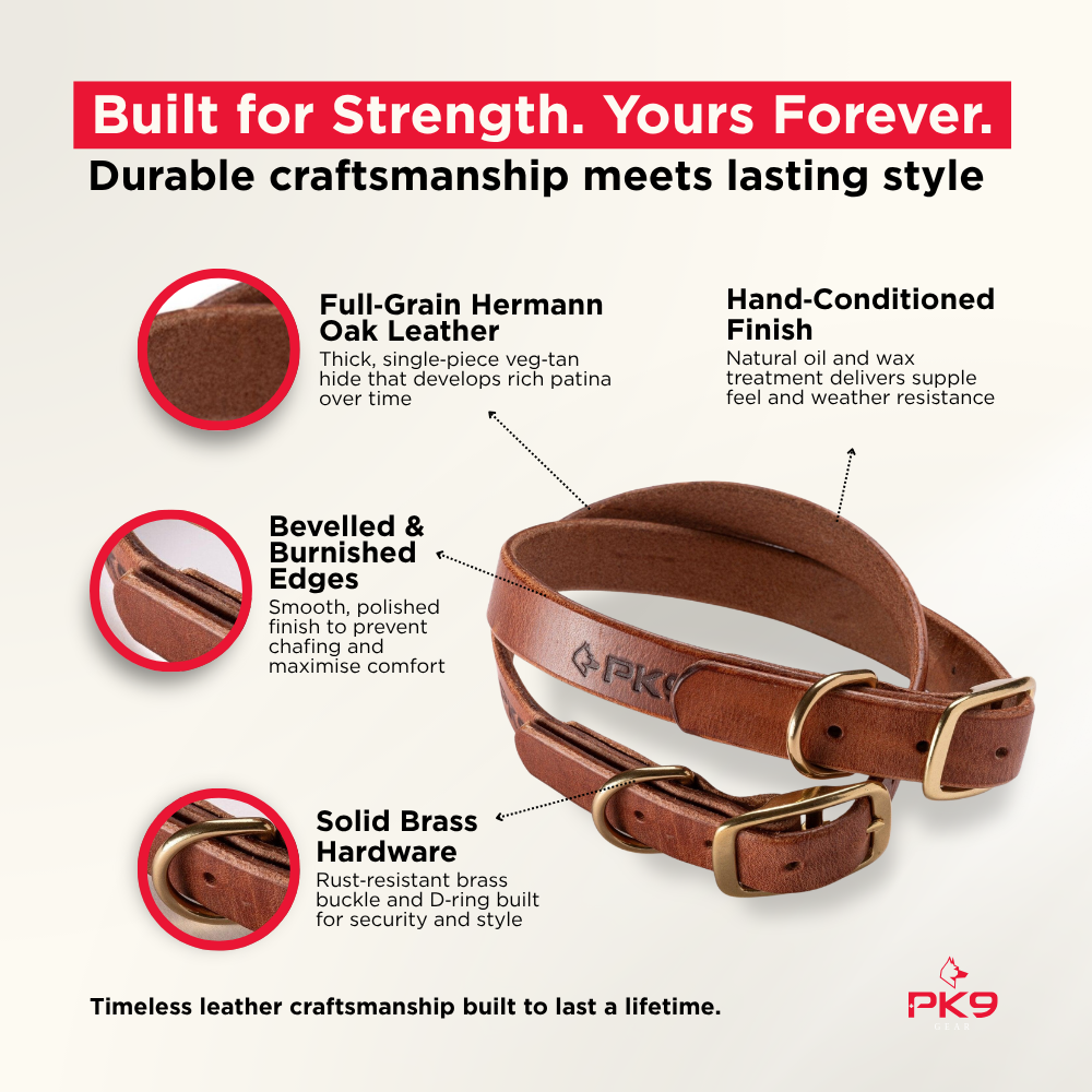 Premium Leather Dog Collar | Handmade in Australia - PK9 Gear Premium Leather Dog Collar | Handmade in Australia - PK9 Gear