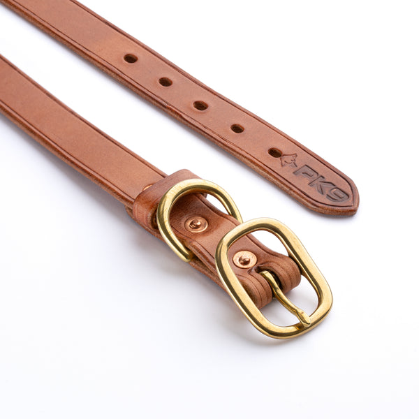 Hermann Oak Leather Dog collar gold buckle on a white background