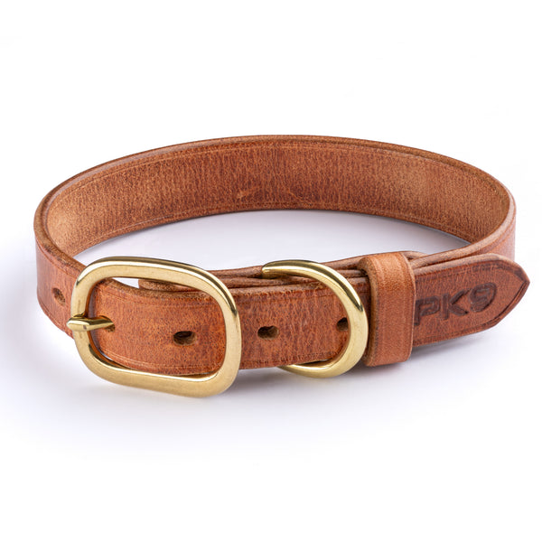 Hermann Oak Leather Dog collar with brass buckle on a white background