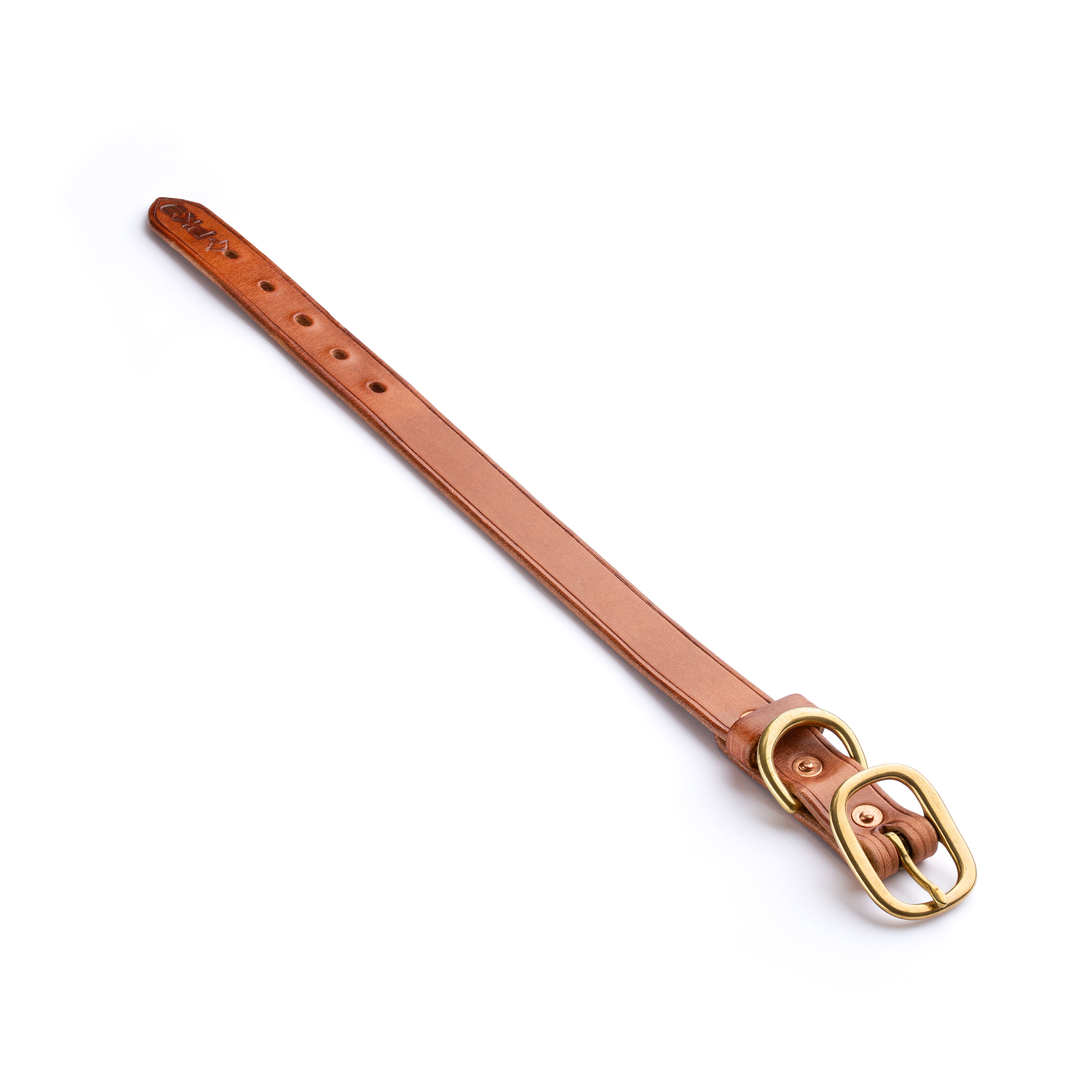 Hermann Oak Leather Dog collar, brass buckle on a white background