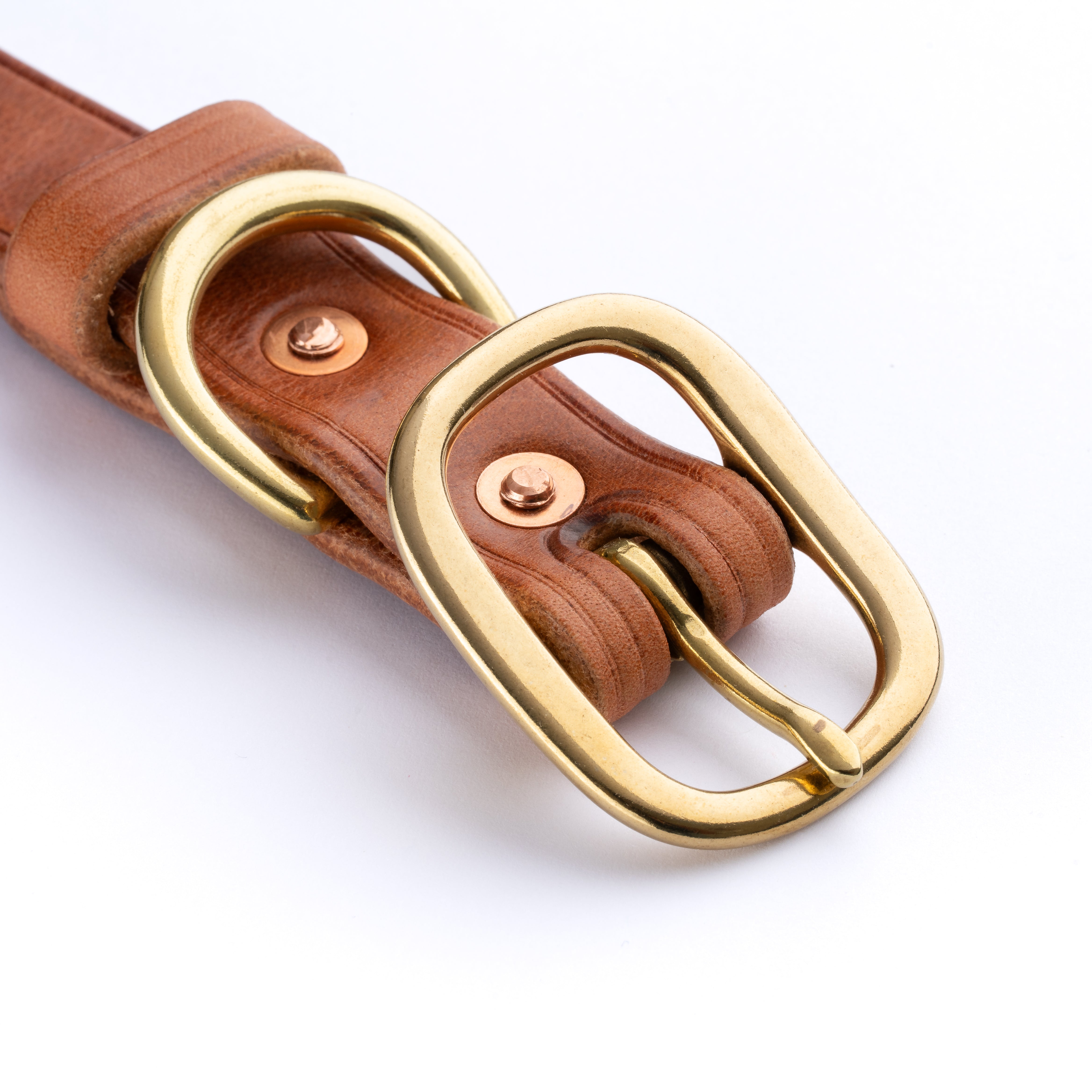Hermann Oak Leather Dog collar close up