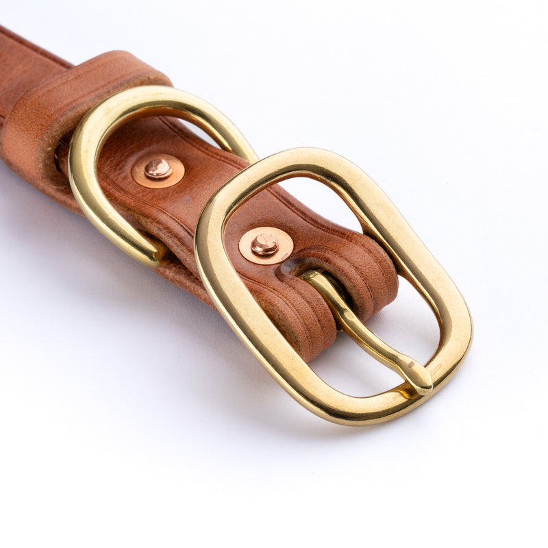 Close-up of solid brass hardware on a PK9 Gear dog lead